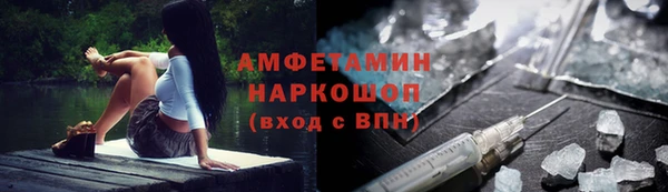 прущие грибы Ессентукская
