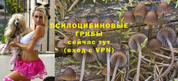a pvp Санкт-Петербург