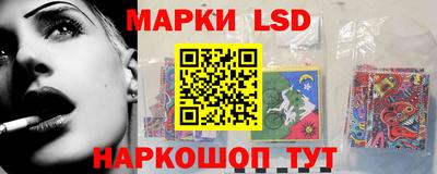 шишки Бийск