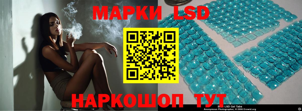 ЛСД экстази  LSD-25 экстази кислота  ЛСД экстази кислота  Вход с VPN  Бийск 