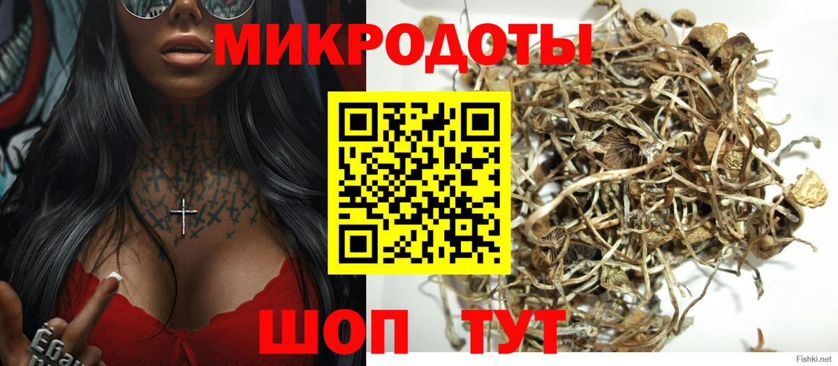 Псилоцибиновые грибы Psilocybine cubensis  цена наркотик  Бийск  Вход с VPN 