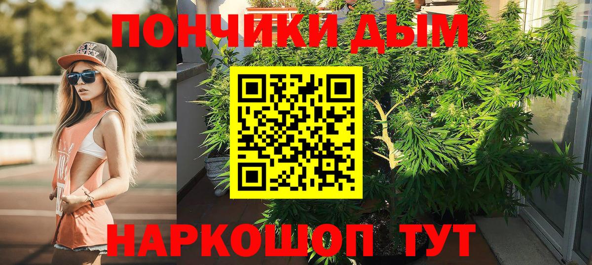 Конопля LSD WEED  Бийск  Бошки Шишки Amnesia  Бошки Шишки семена  Бошки марихуана индика 